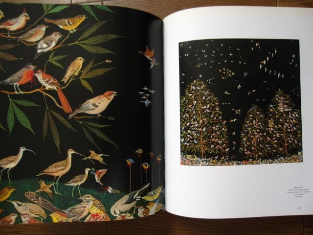Fred Tomaselli　フレッド・トマセリ