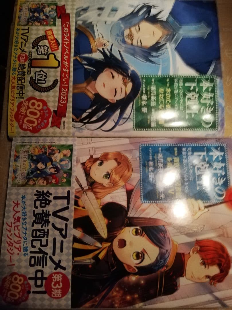 本好きの下剋上～司書になるためには手段を選んでいられません～ 第四部 「貴族院…