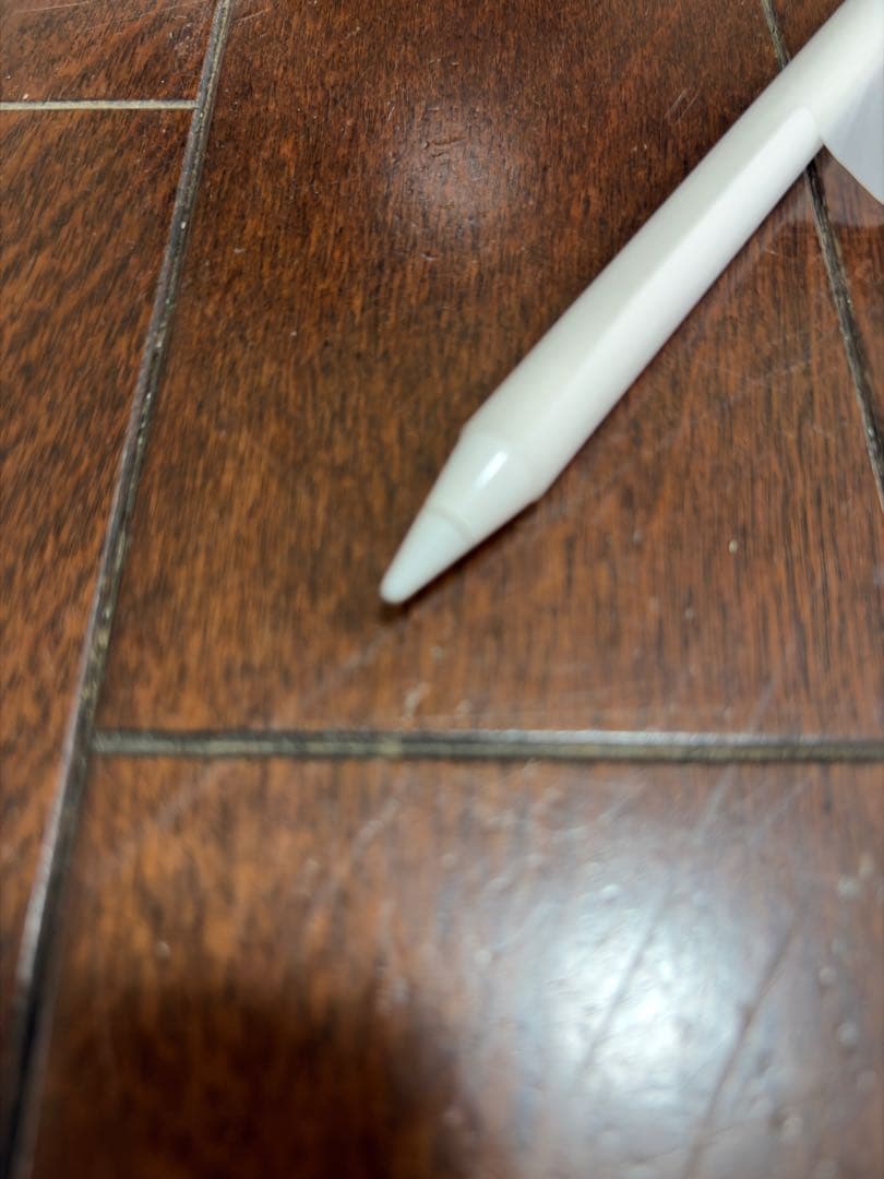 【美品】Apple Pencil 第1世代★USB-Cアダプタ付