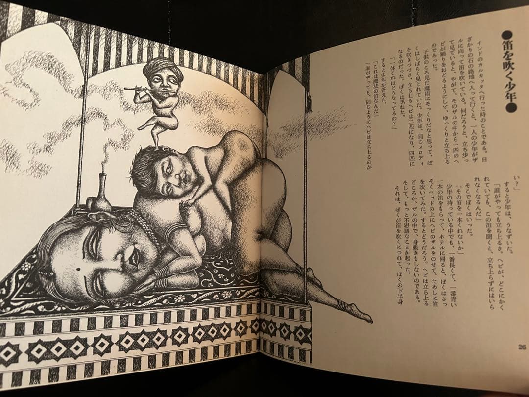 【名作‼︎ おとなの絵本】  絵本・ほらふき男爵  寺山修司 / 及川正通
