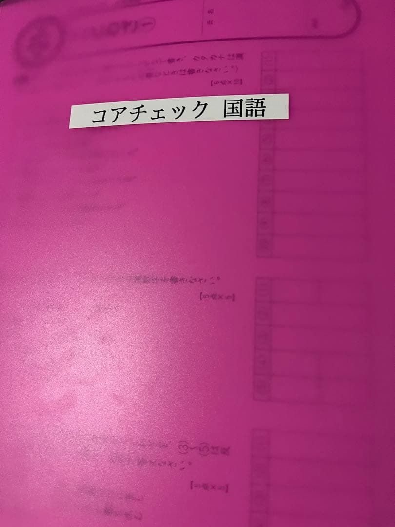 セール‼️コアマスター4年　4教科　夏期・冬期講習と21回〜48回　コアチェック付