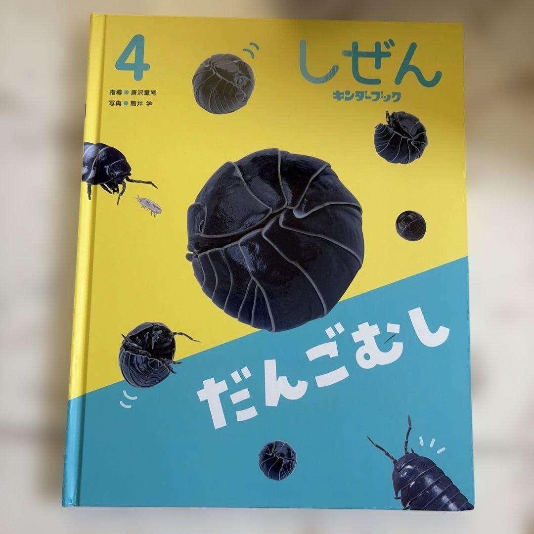 しぜん 絵本シリーズ 20冊のまとめ売り　年長向け