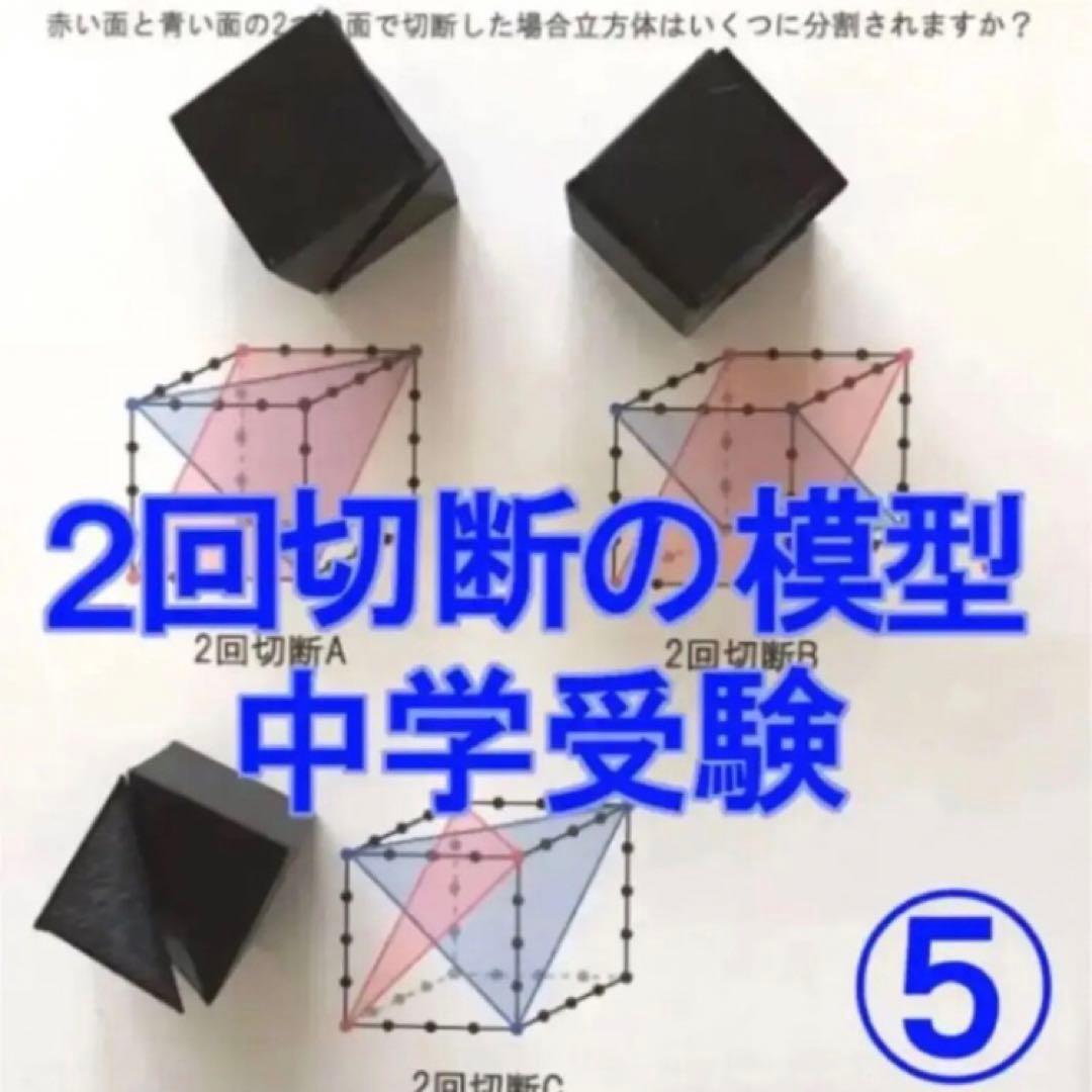 ゆゆ　立体の切断模型 ①②③④⑤⑥⑦⑧⑨⑩セット