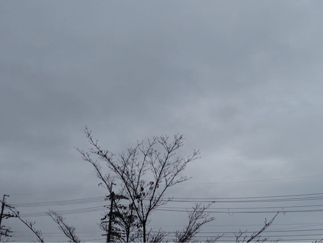 PowerShot SX730 HS ホワイト